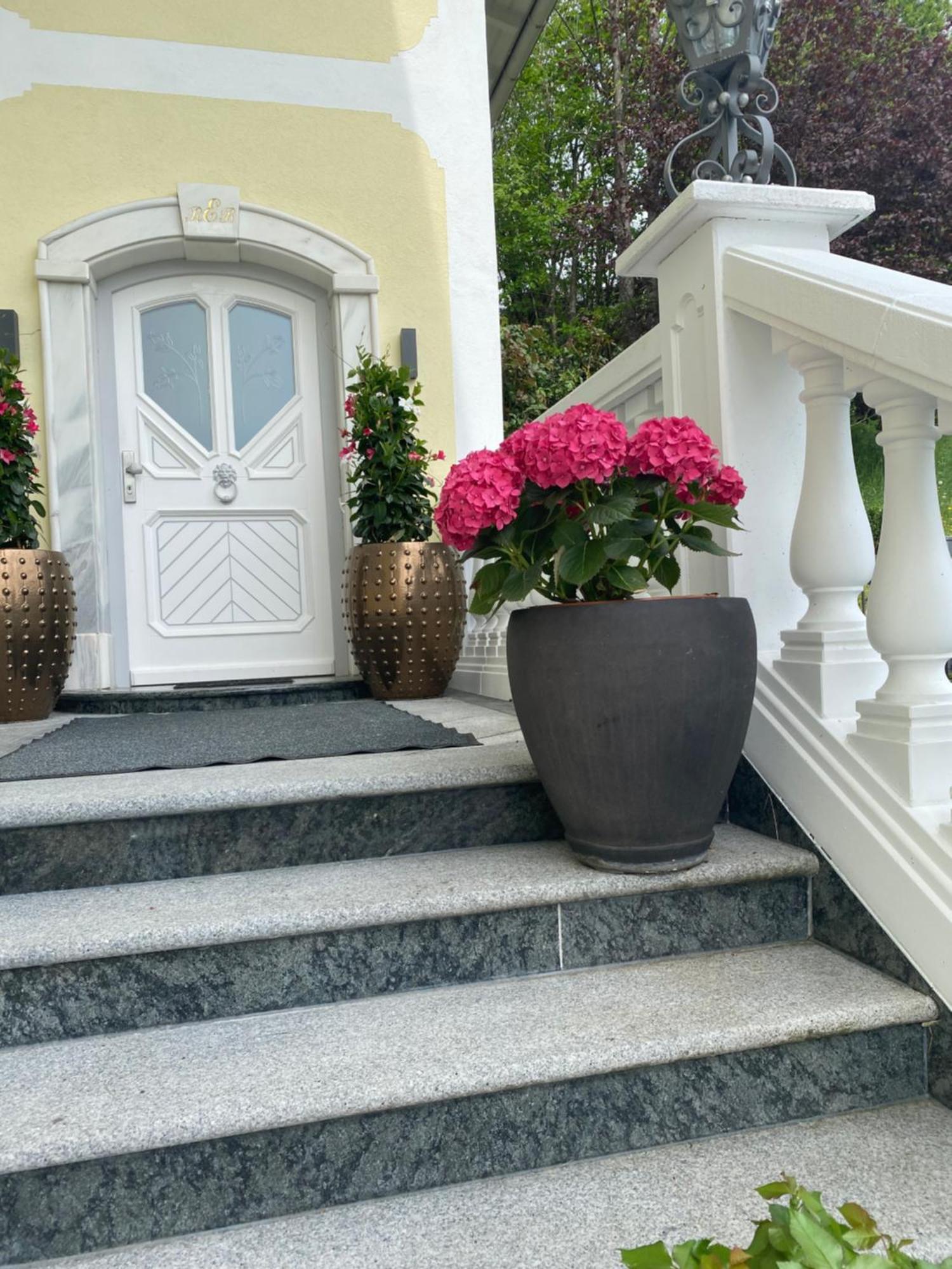 Appartement Bergblick I Файстенау Екстериор снимка